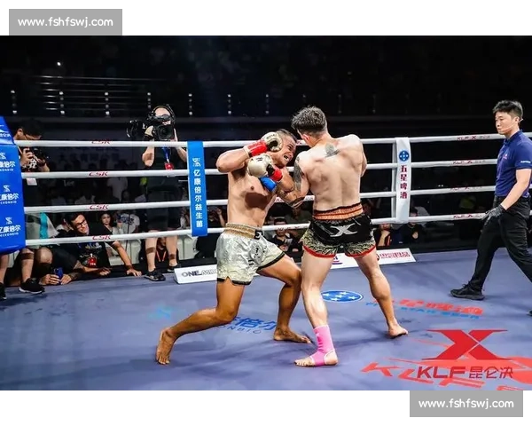 播求对决崔洪万巅峰之战力量与技术的终极碰撞谁能称王擂台格斗夜